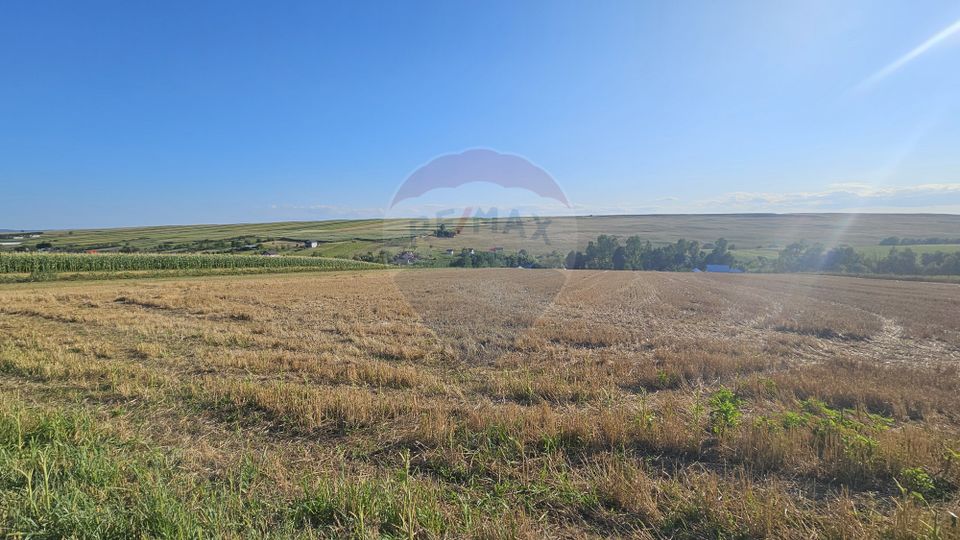 Teren intravilan, 7500 mp in Moara Carp / Strada Eternitatii-Suceava