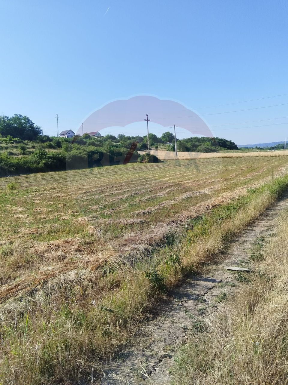 Teren 2,000mp Bradesti / None