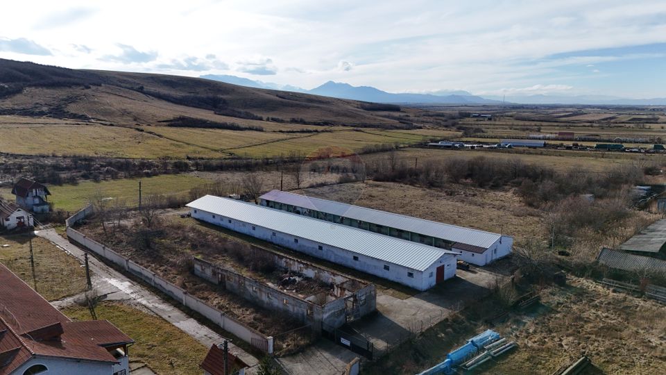 Teren industrial 1.729 mp I Demolare + construcție hală Teliu