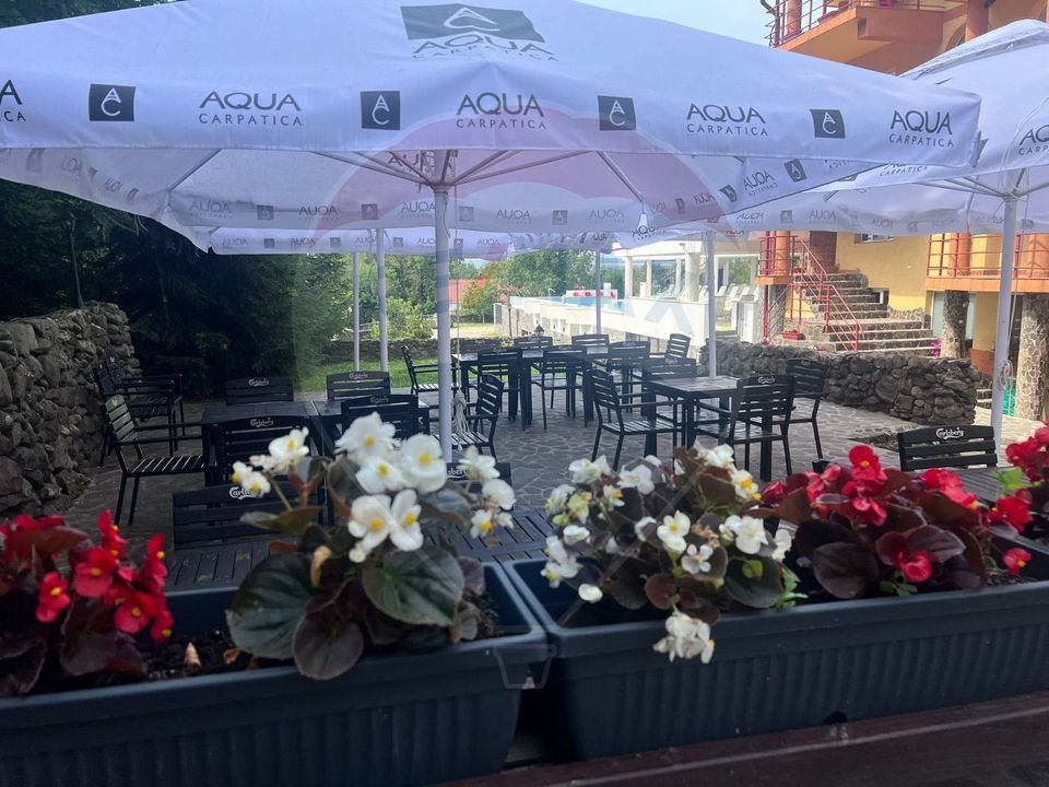 3,000sq.m Proprietate specială for sale