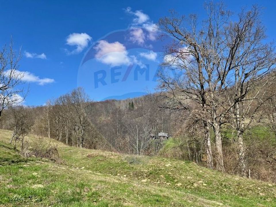 Land 7,495sqm Barsana / None