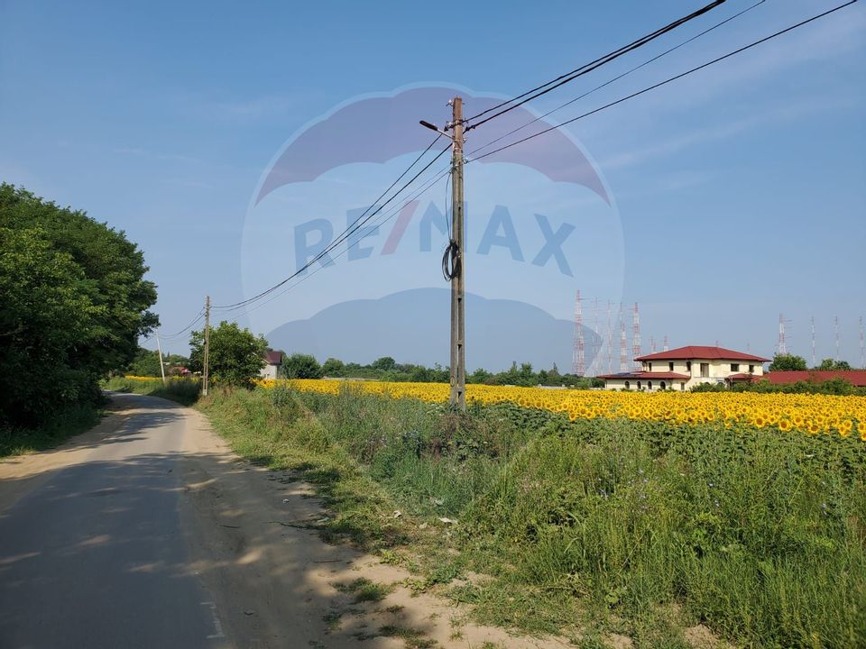 Land plots 1,000sqm Ciolpani / Catunului Street near the forest