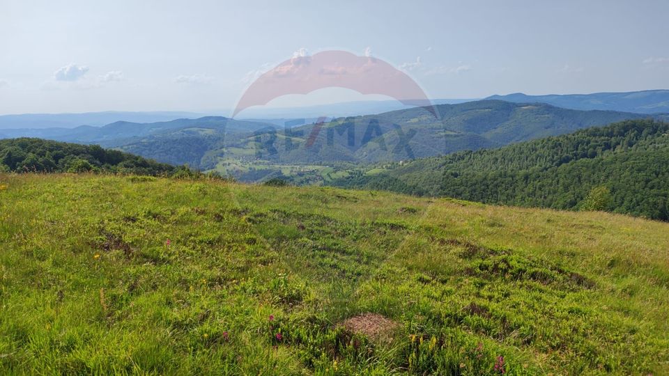 Teren 130000 mp extravilan, faneata si padure, Munteni - Bulz, Negreni