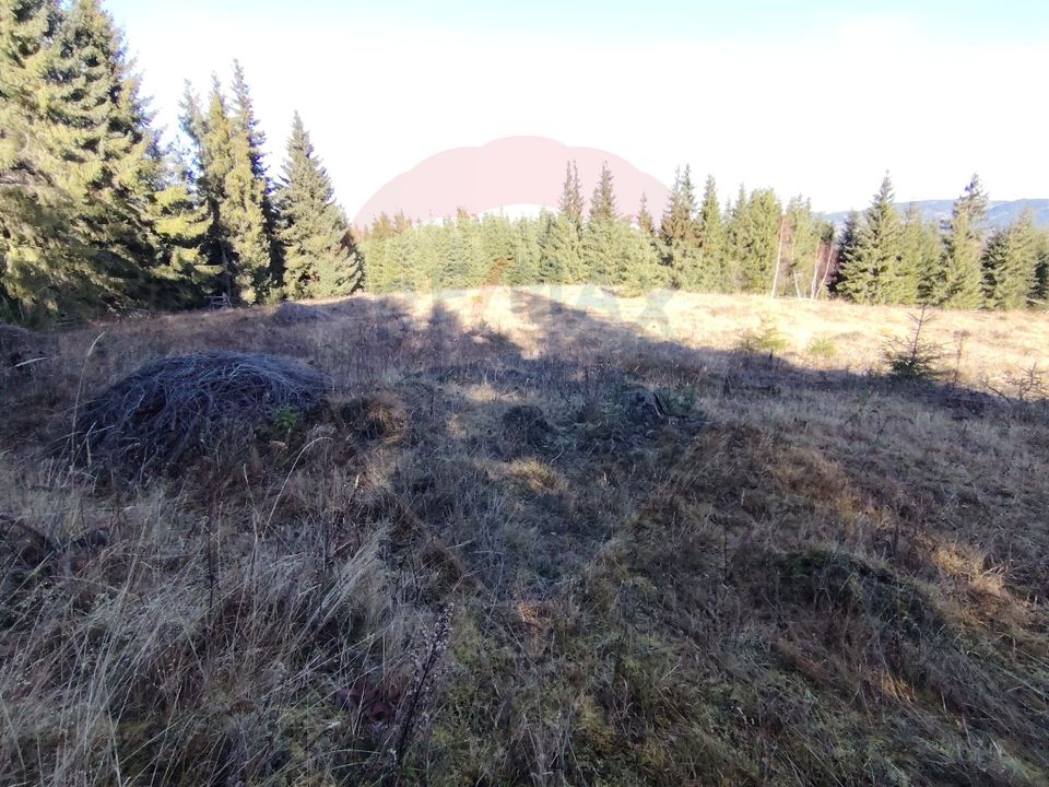 Teren 16,289mp Coverca / Drumul Bucinis