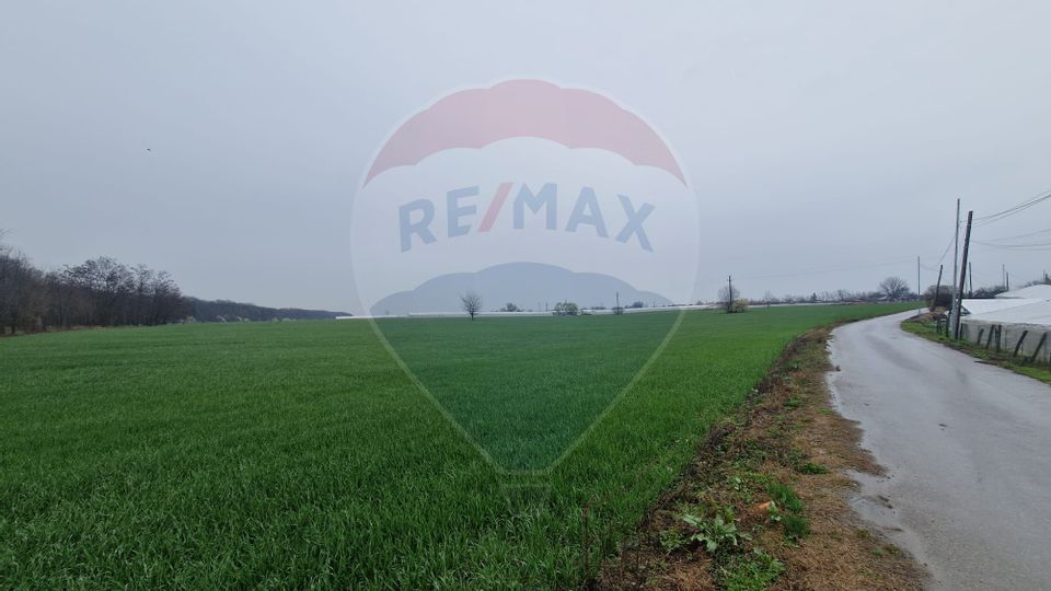 Intravilan land for sale 30 minutes from Bucharest, Curcubeu village