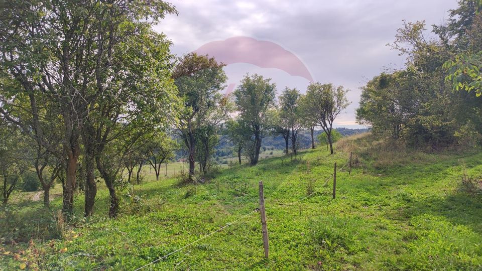 Teren constructii si faneata/livada 3082 mp Damis Bratca drum DJ 764D