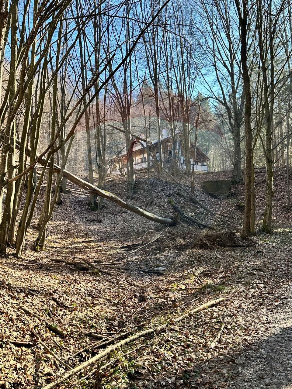 Teren de vanzare 53,723mp Codlea / Nord-Vest