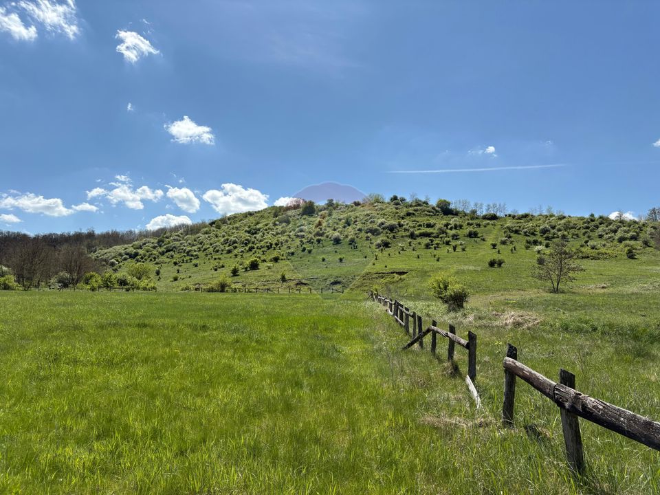 Domain - 66 Hectares - Special land Copsa Mica with access to DN14