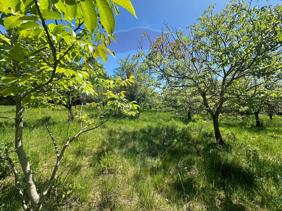 Land 1,991sqm Baia Mare / Strada Miron Costin