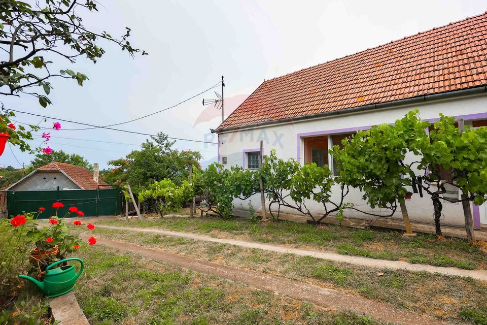 3 room House / Villa for sale