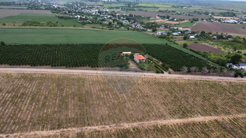 Casă - plantatie aluni  41300mp