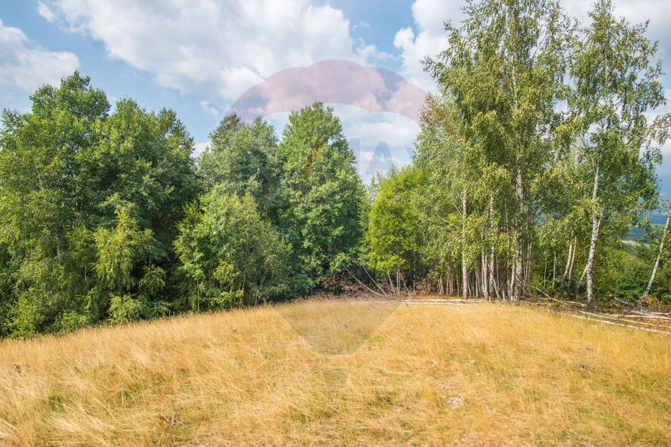 Teren extravilan Moieciu 45316mp