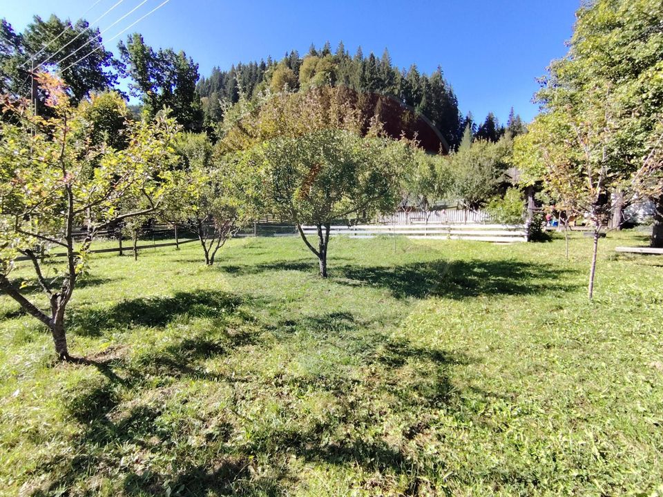 Casă în Vatra Dornei, zona Argestru, cu 11.541m.p. TEREN INTRAVILAN