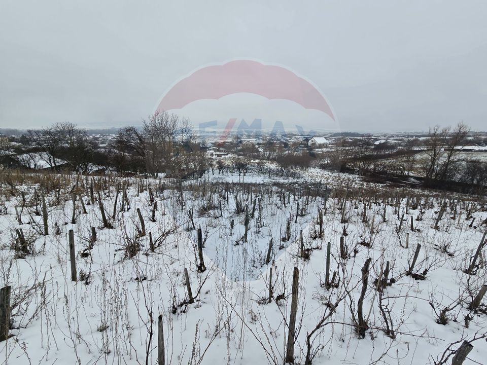 Land 6,850sqm Izvor / Aleea Al Parului