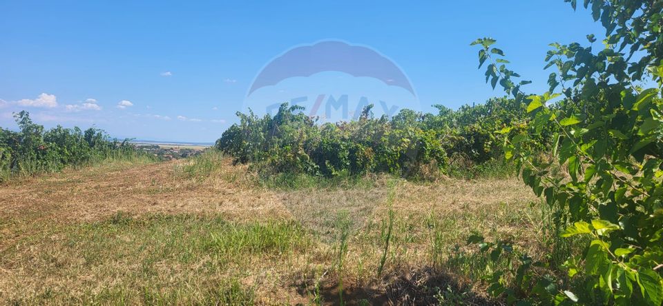 Land 70,000sqm Maderat / Strada principala