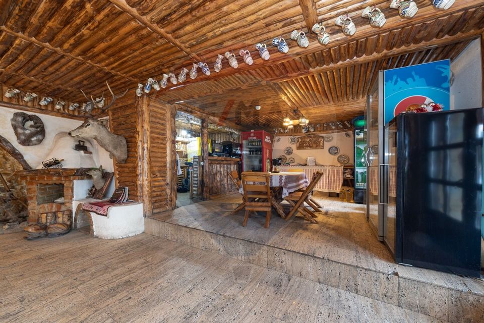 21 room Hotel / Pension for sale, Ultracentral area