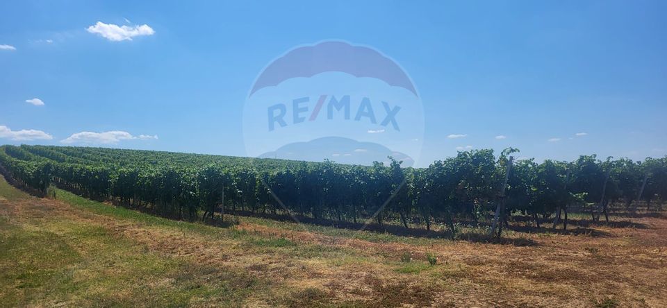 Land 70,000sqm Maderat / Strada principala