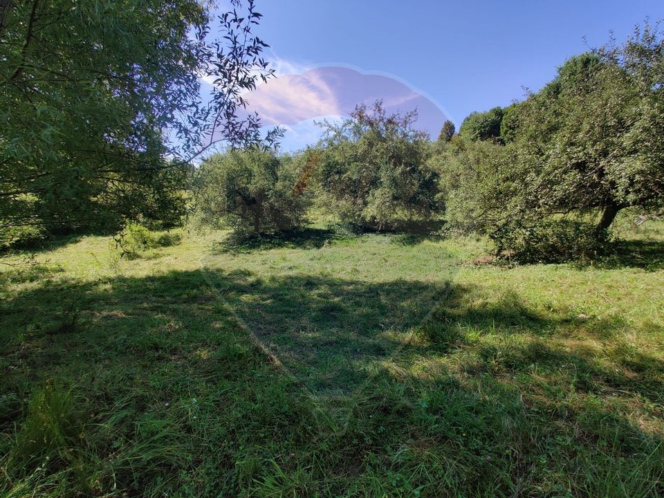 Land 3,718sqm Remetea Chioarului / Strada Principală