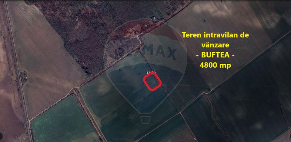 Built-up land 4800sqm Buftea, Valea Mocanului Forest