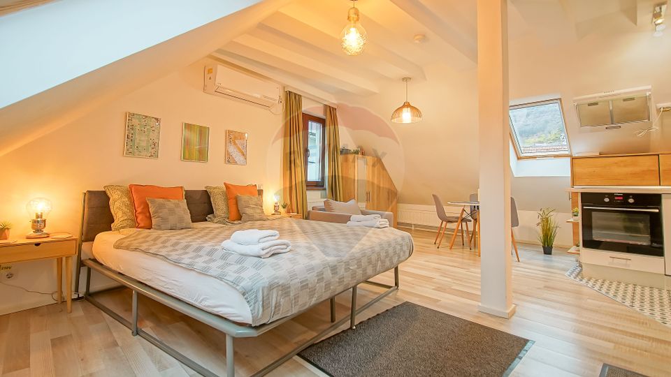 Casa cu 5 studiouri independente, terasa rooftop, vedere montana