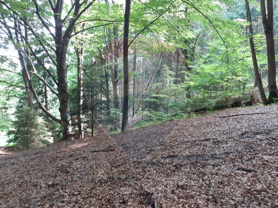 Land 2,000sqm Rasnov / Strada Glajerie