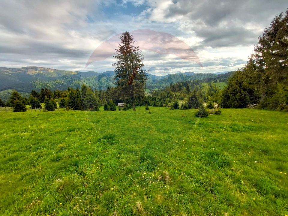 O fereastră către cer – teren de vis în Fundata, la poalele Bucegilor