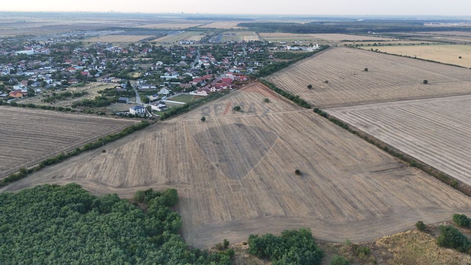 Ocazie investitie, teren intravilan Tamasi / Buftea