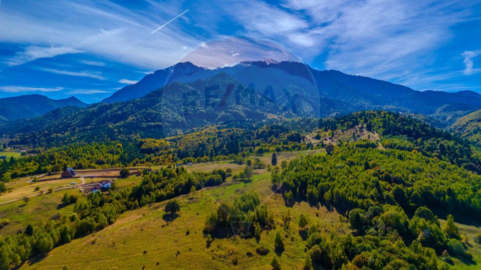 Comision 0! Teren Rasnov- Strada Valea Panicelului, 2263mp