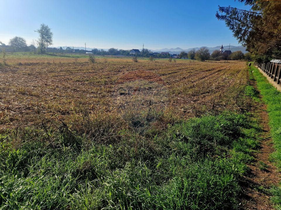 Land 4,000sqm Savinesti / Strada Gradinarilor