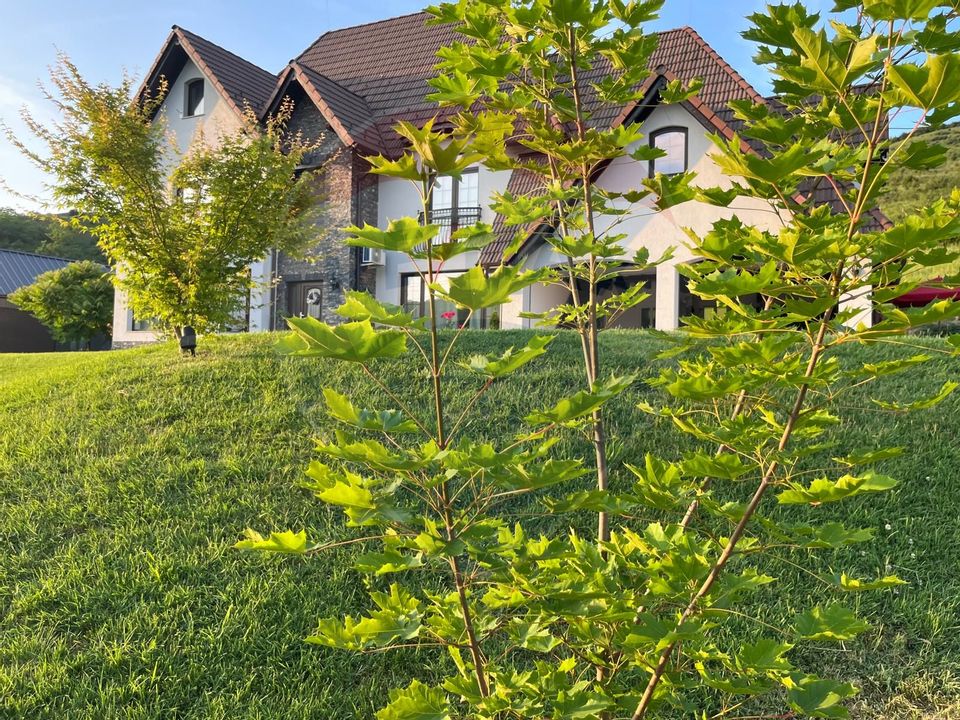 4 room House / Villa for sale, Central area