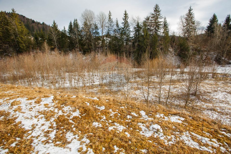 Land 49,000sqm Borca / Strada Vitoria lipan