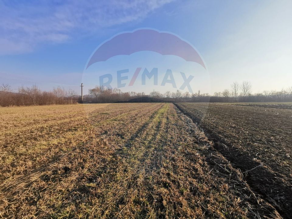 Land 4,400sqm Finteusu Mare / Stradela Principala