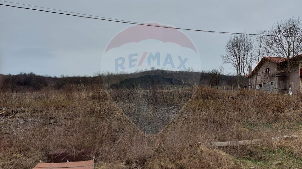 Land 2,866sqm Dabaca / None