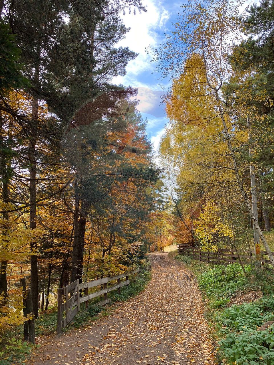 Guesthouse for sale | 12 rooms | Bisoca / Buzau