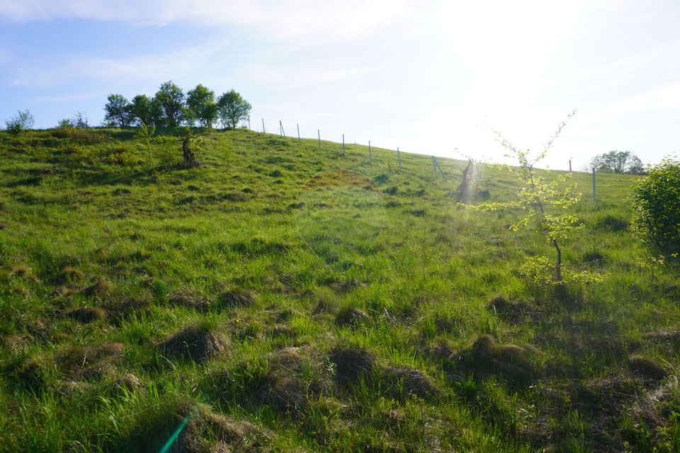 Teren 38,592mp Sighetu Marmatiei / Strada Mocăniței