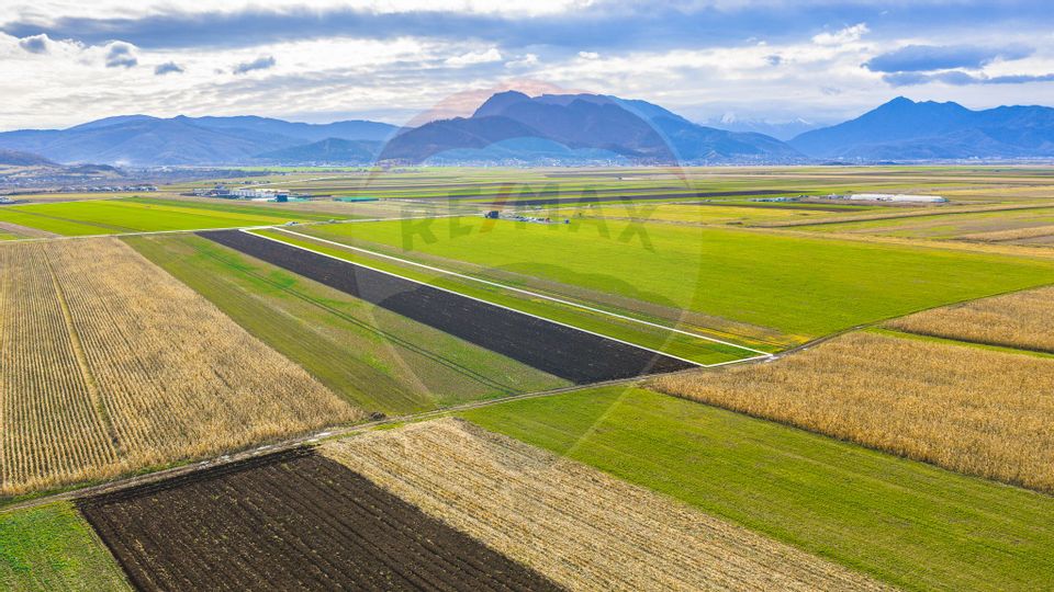 Teren 10,000mp Tarlungeni