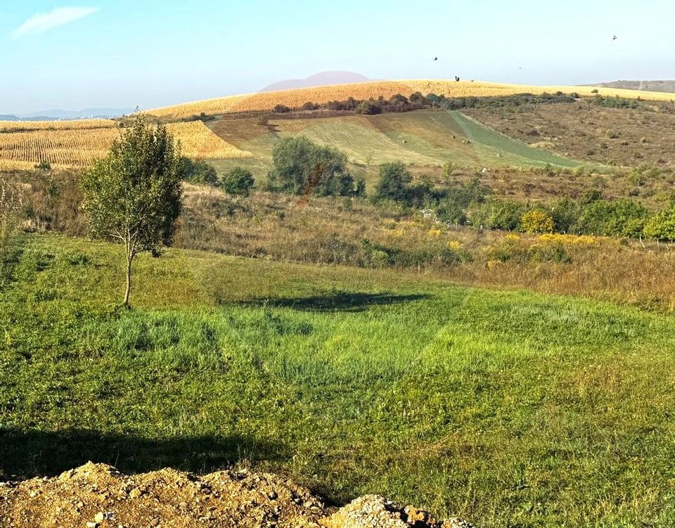 Vând teren Cluj-Napoca / Strada Pajistei, Dezmir