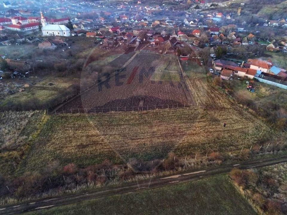 Land 1,200sqm Covasint / Strada Liliacului