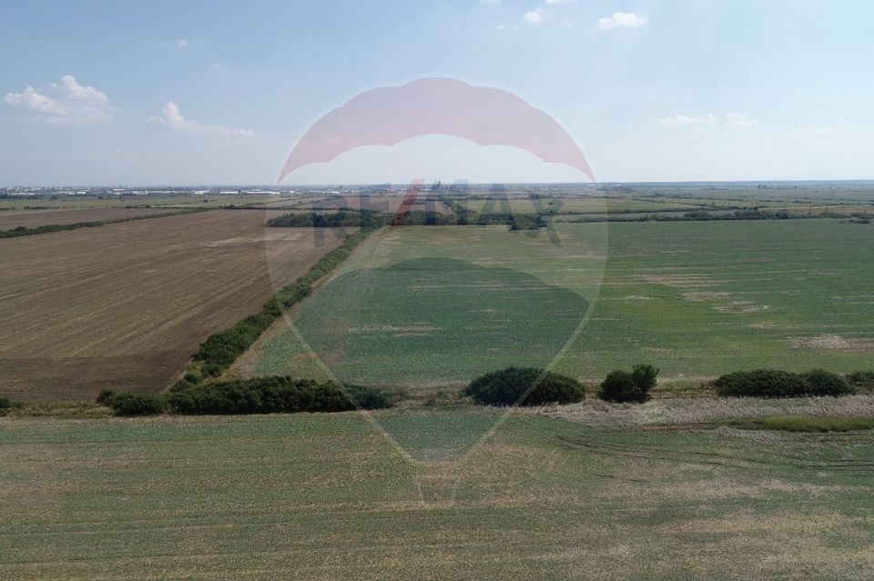 Land 31,800sqm Arad / DN ARAD-PECICA
