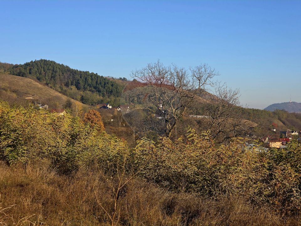 Land 6,874sqm Alexandru cel Bun / Strada plopusor