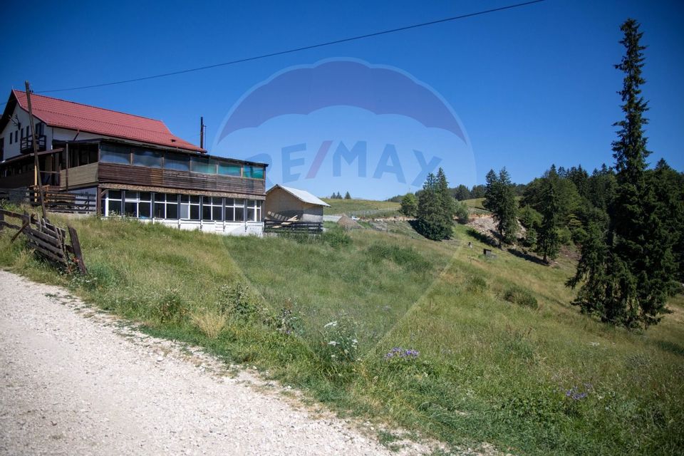 Teren 56599mp Dambovicioara / Soseaua DN 73Dealul sasului!