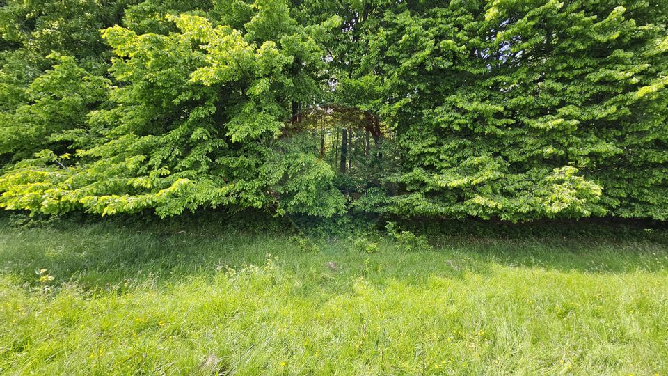 Teren Ilisesti  7000mp extravilan/ DN 17, Suceava