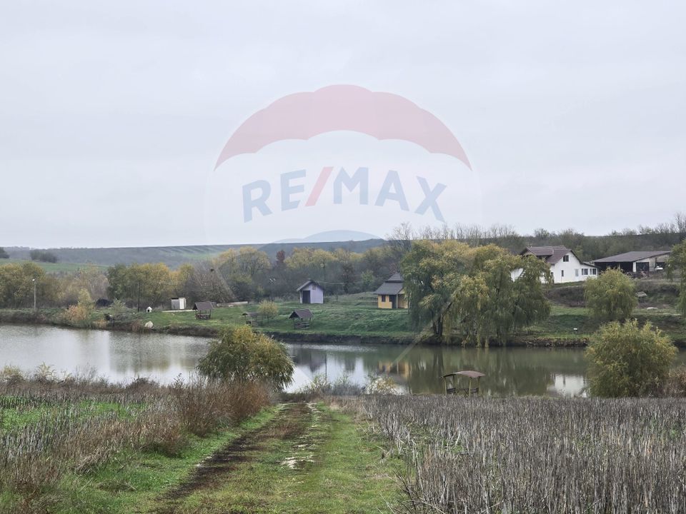 Land 129,700sqm Iepuresti / Strada Marin Preda