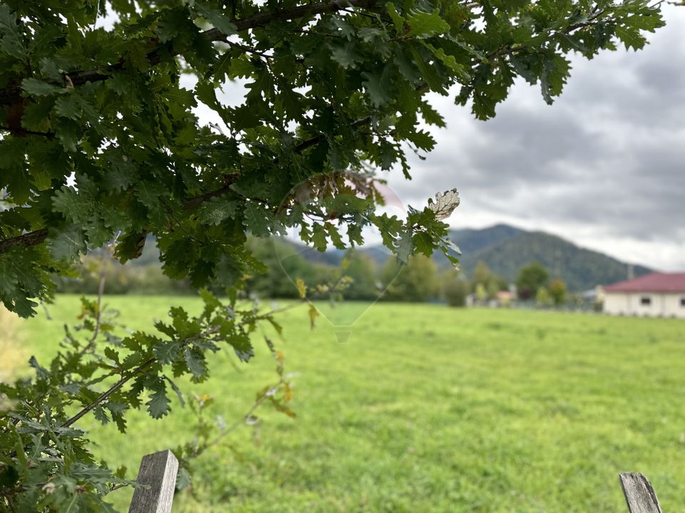 Land 1,023sqm Vadurele (Alexandru cel Bun) / Strada Stejarilor