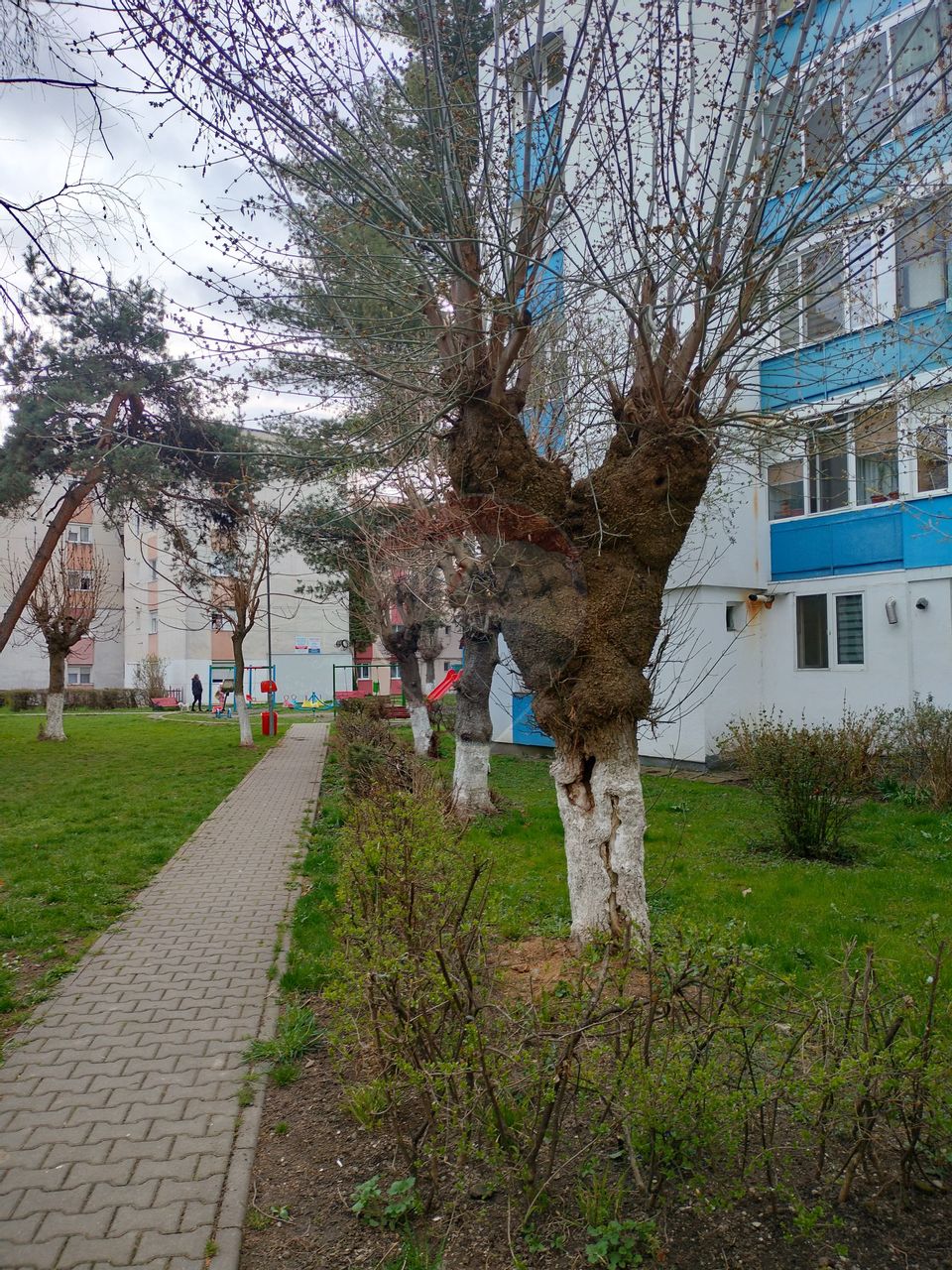 Apartament trei camere Iernuteni- Reghin