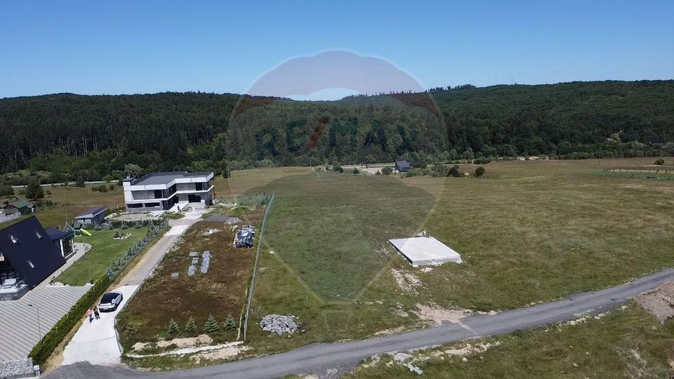 Land 3,757sqm Paltinoasa / Strada principala