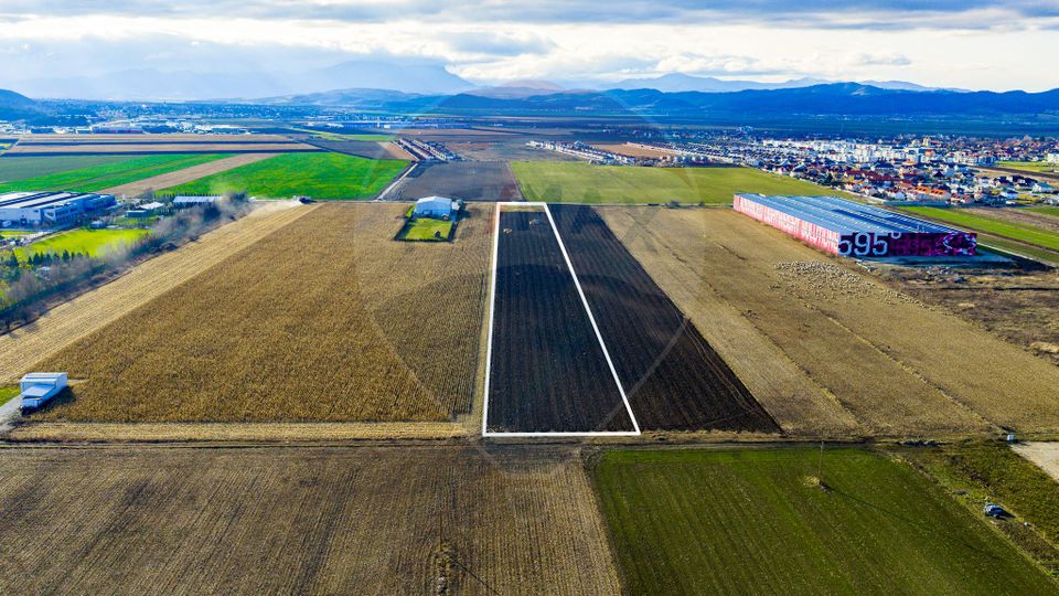 Land 25,000sqm Ghimbav / Strada Sanzienei