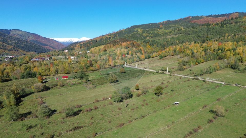 Land 3,831sqm Leresti / Strada Poduri