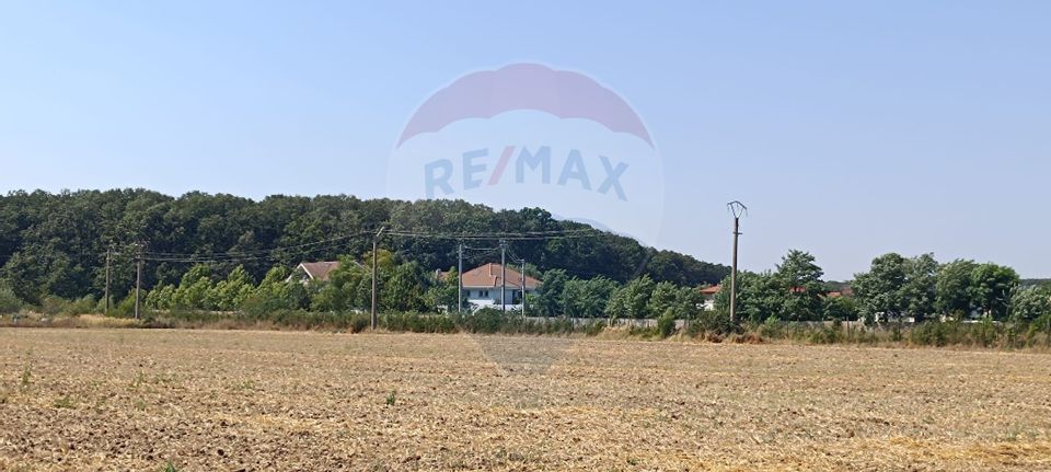 Teren 650mp Ghermanesti / Strada Milcov