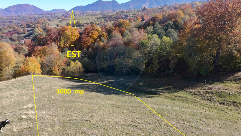 Teren valoros 3,000mp BRAN/Utilitati/Pensiune/Priveliste panoramica